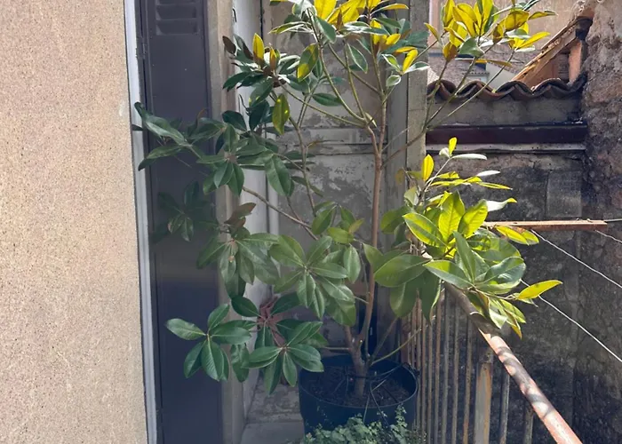 Chic Town House 別荘